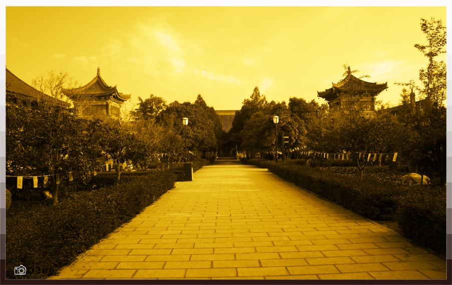 香积寺光影07.jpg