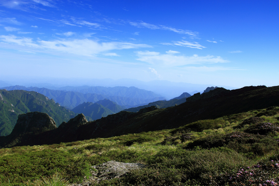 秦岭光头山31.JPG