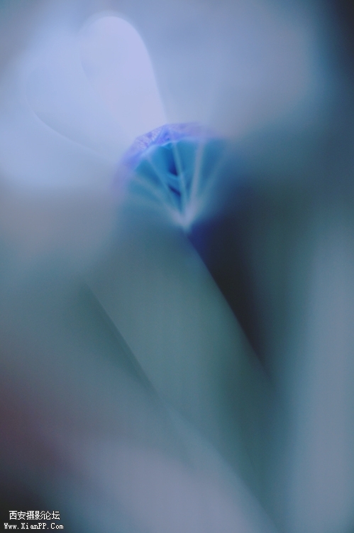 553782312013060622102006_640.jpg