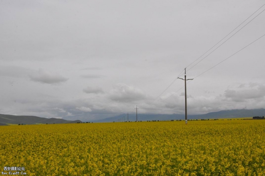 调整大小 DSC_0271.JPG