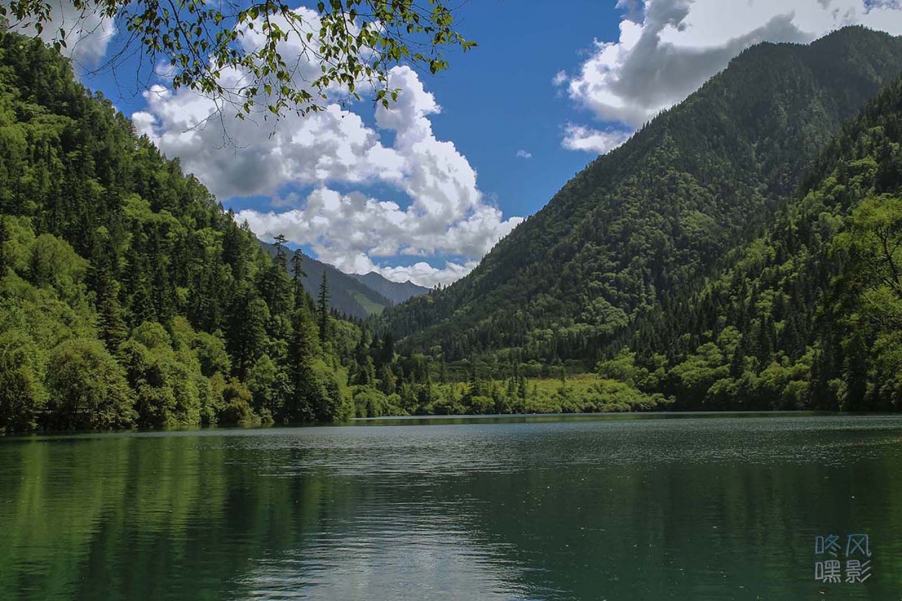 甘南2 884副本.jpg