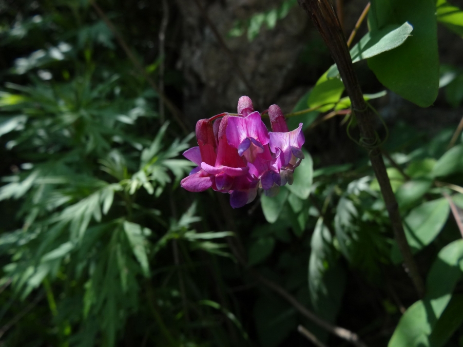 DSC01838_调整大小.jpg