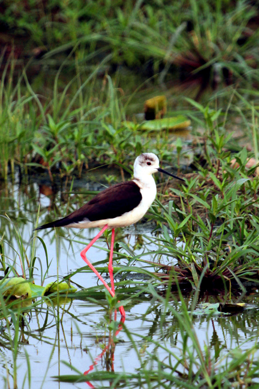 清水园 010_副本_副本.jpg