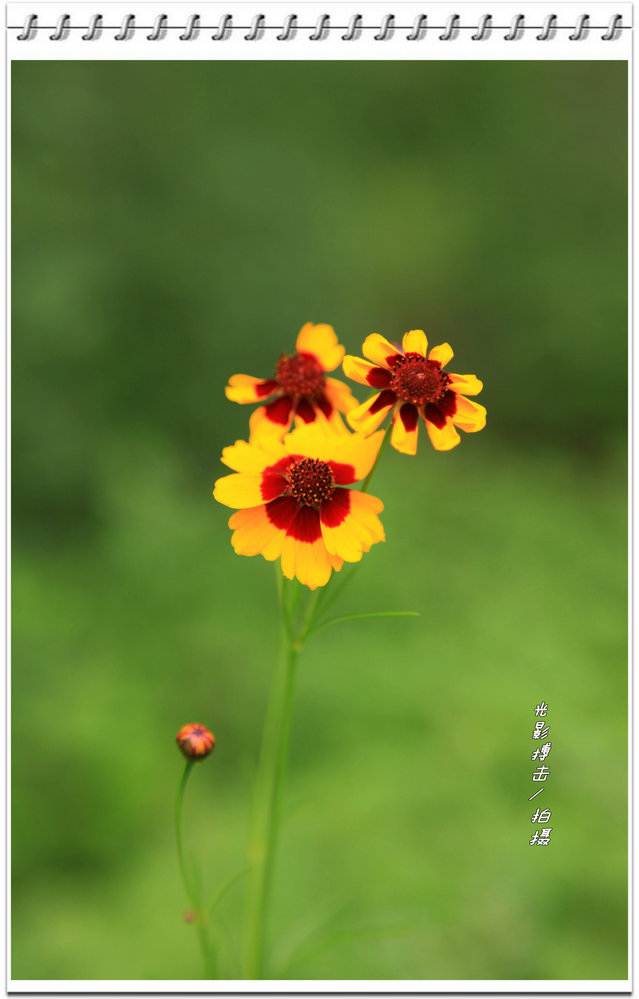 IMG_5250_副本.jpg