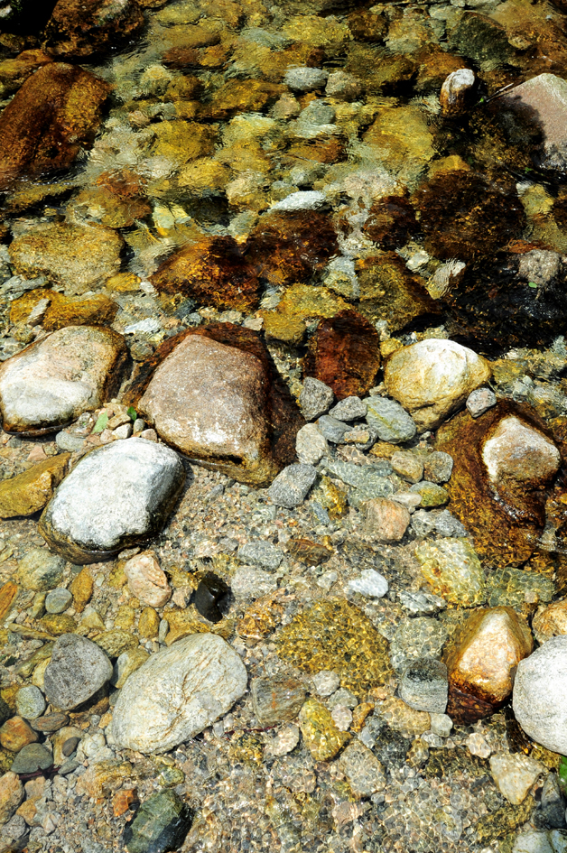 DSC_0185.jpg