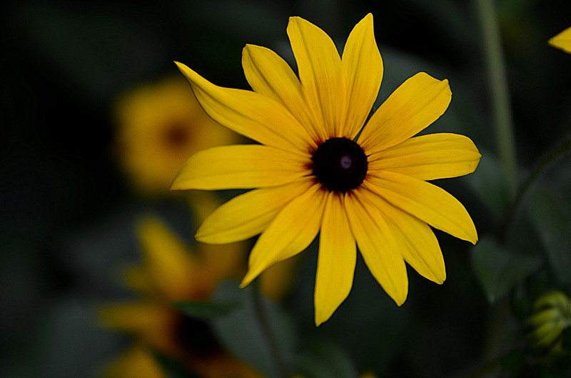 照片 042_副本.jpg