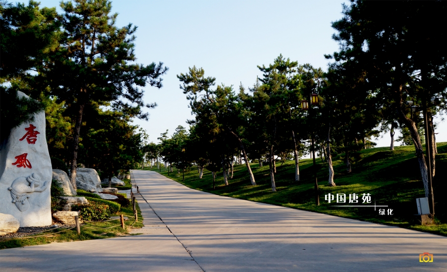 唐苑光影02.jpg