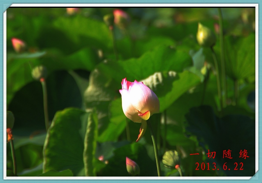 IMG_1494_副本.jpg