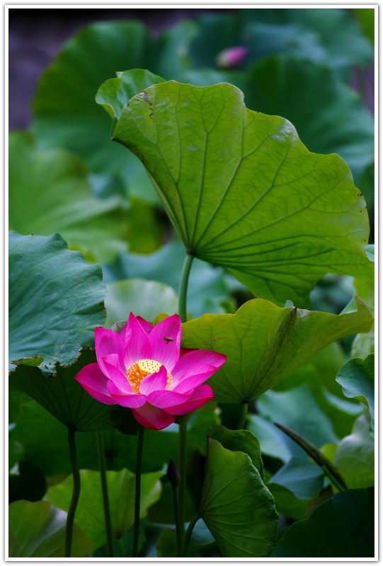 psb (12).jpg