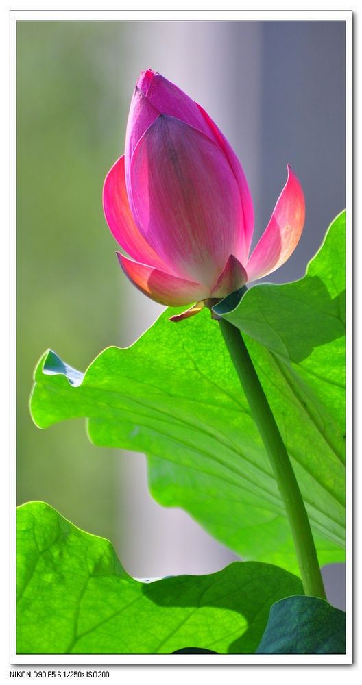 nEO_IMG_桌面照片 10127副本.jpg