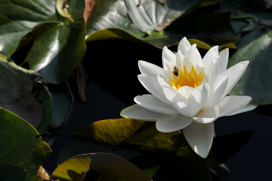 DSC_7416.jpg