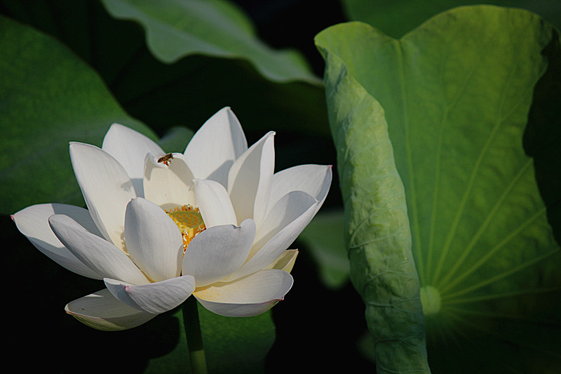 IMG_7818_副本.jpg