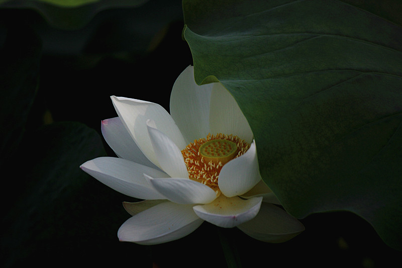 IMG_7865_副本.jpg
