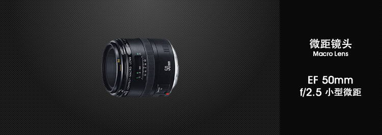 ef50f25.jpg