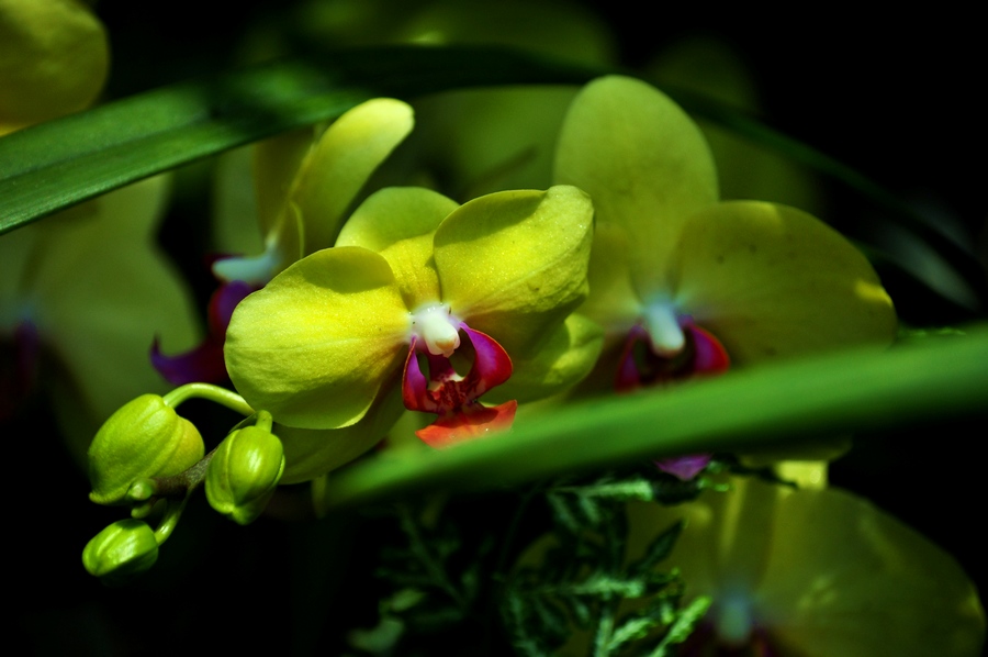 DSC_1184.jpg