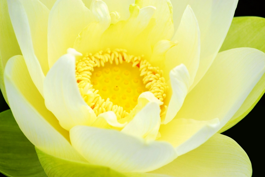 DSC_1352副.jpg