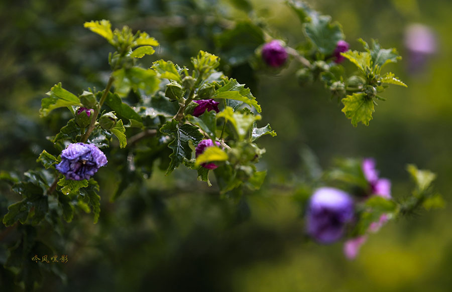20130707_2137.jpg