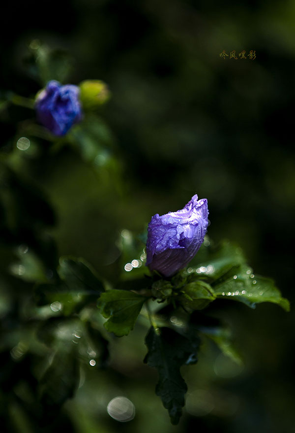 20130707_2139.jpg