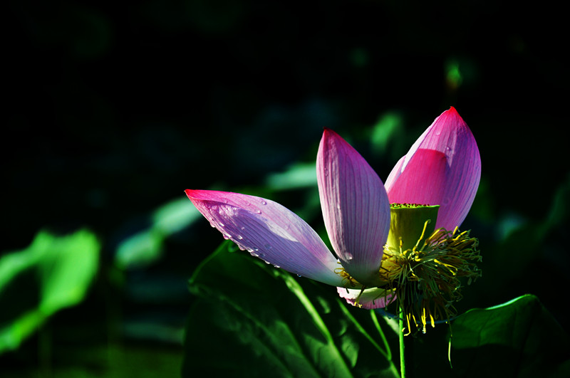 DSC_0155_副本.jpg