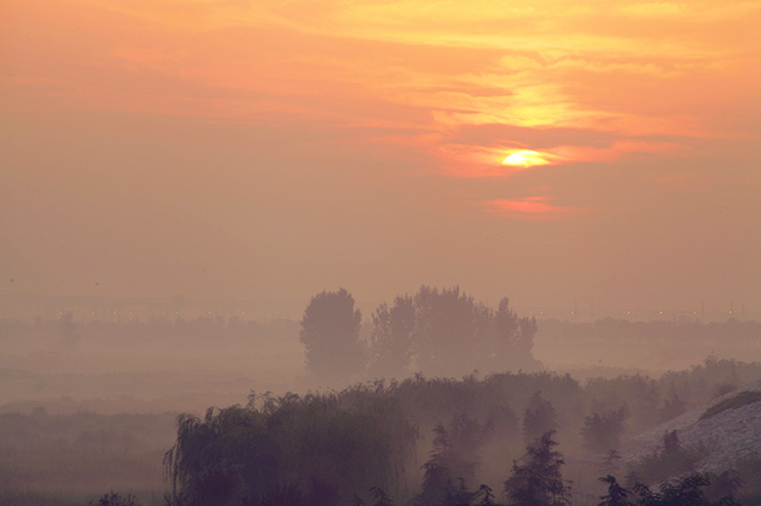 渭河 008_副本.jpg