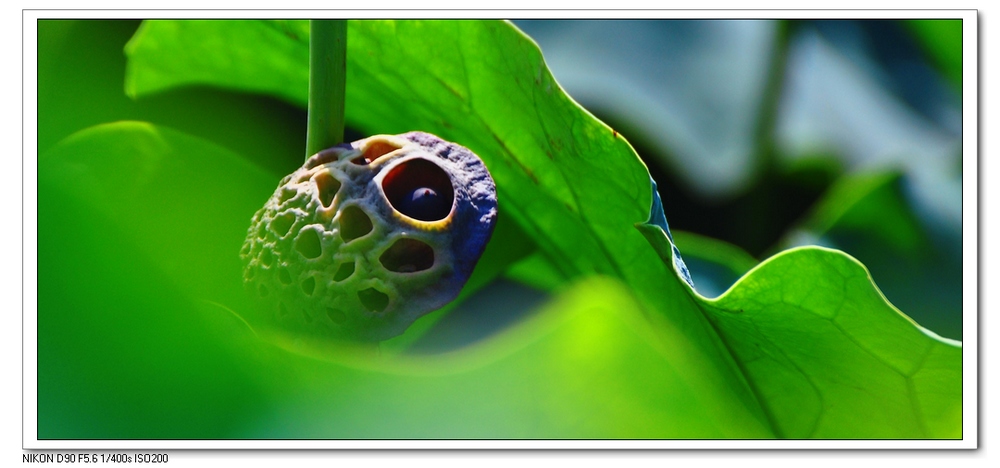 nEO_IMG_桌面照片 10233副本.jpg