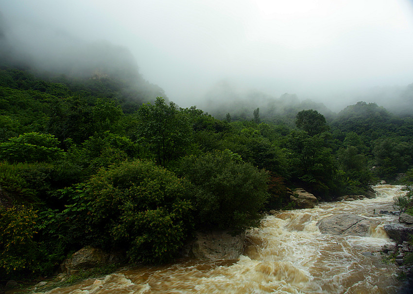 渭河 070_副本.jpg