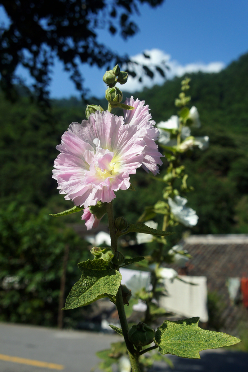 DSC00023_副本.jpg