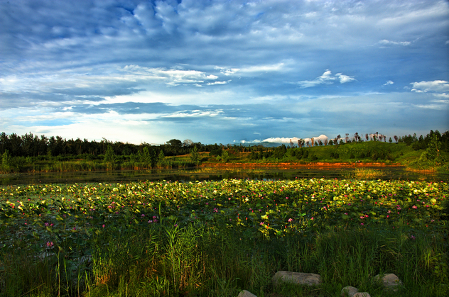 DSC_0971_HZP - 副本.jpg