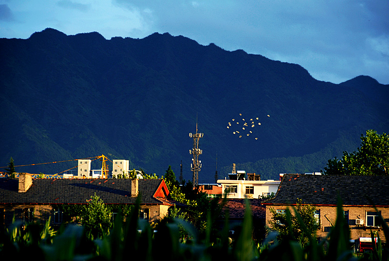 昨日彩虹 (2).jpg