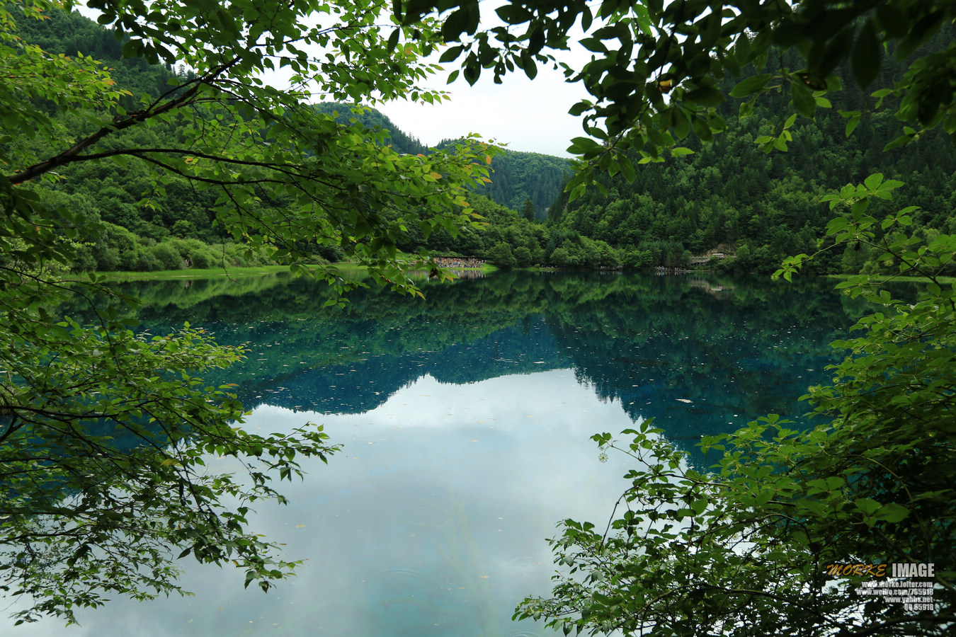 1G8A6234a.jpg