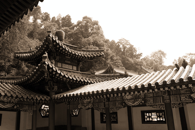 IMG_4869_副本.jpg