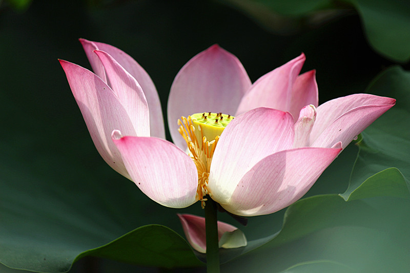 IMG_4797_副本.jpg