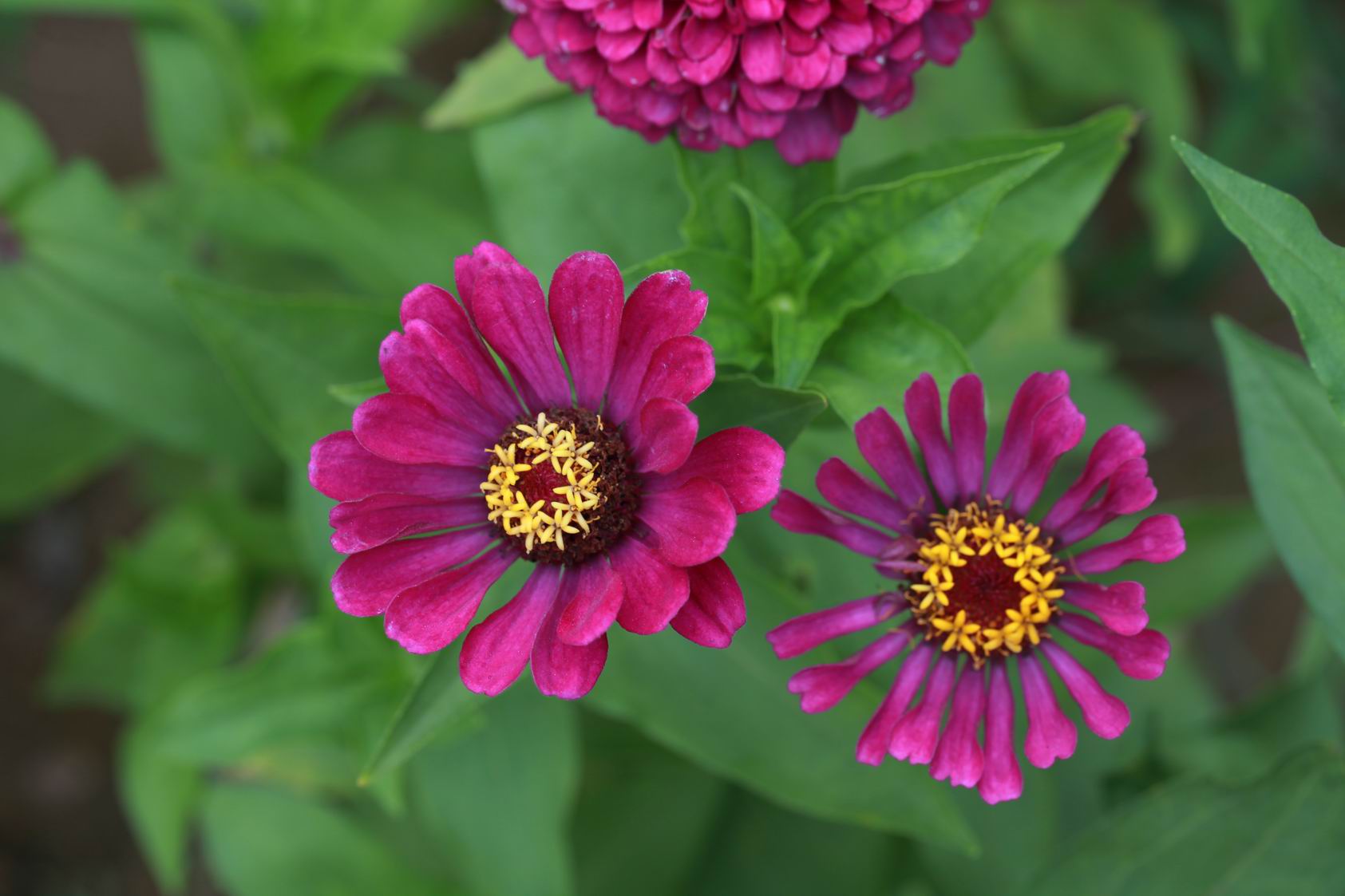 调整大小 IMG_9299.jpg