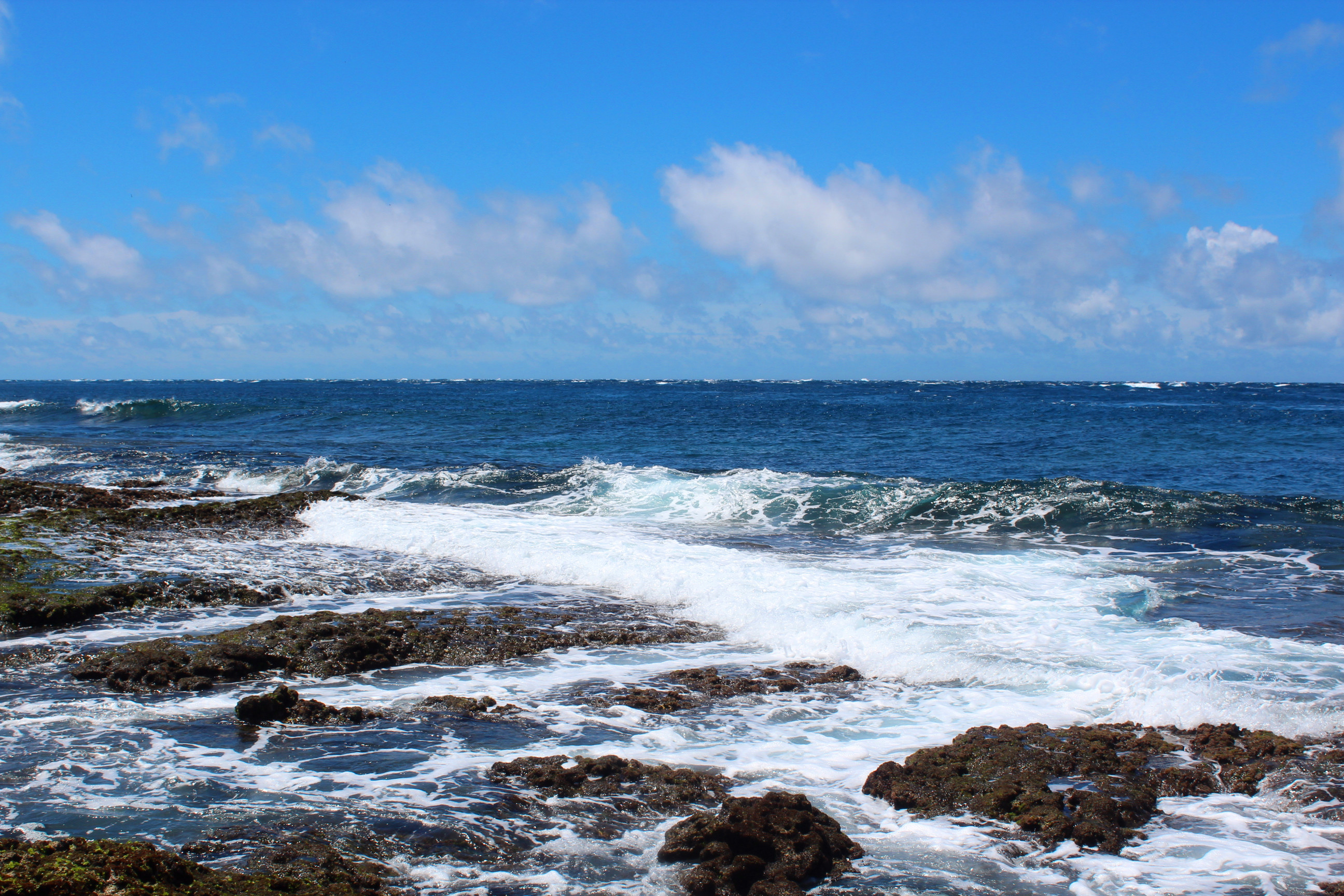 照片 505_副本.jpg