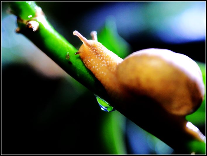 DSC_5691修2.jpg