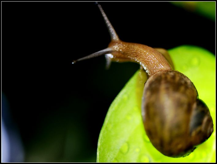 DSC_5706修4.jpg