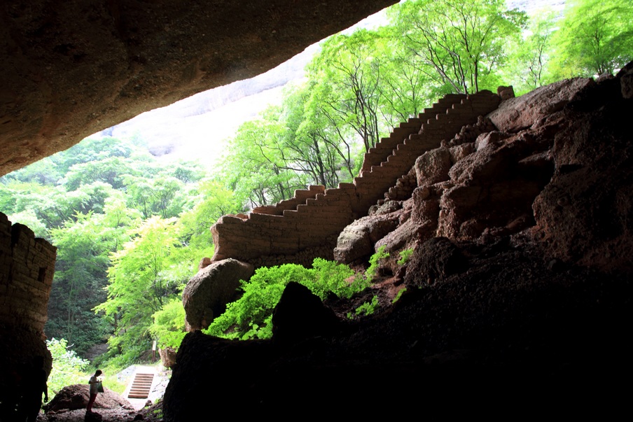 植物园210.jpg