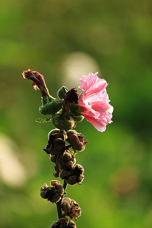 IMG_6055_副本.jpg