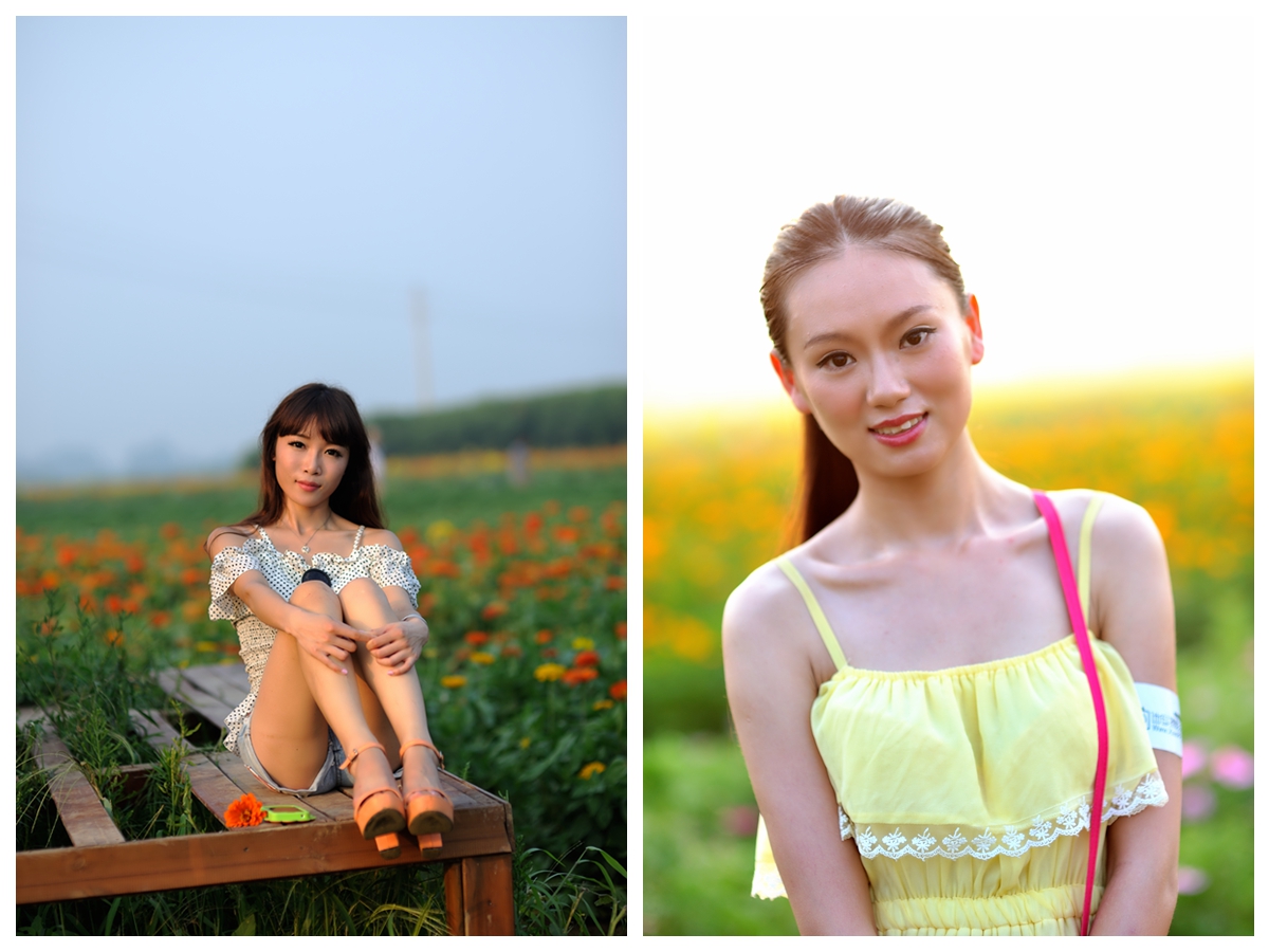 葵花园组图2.jpg