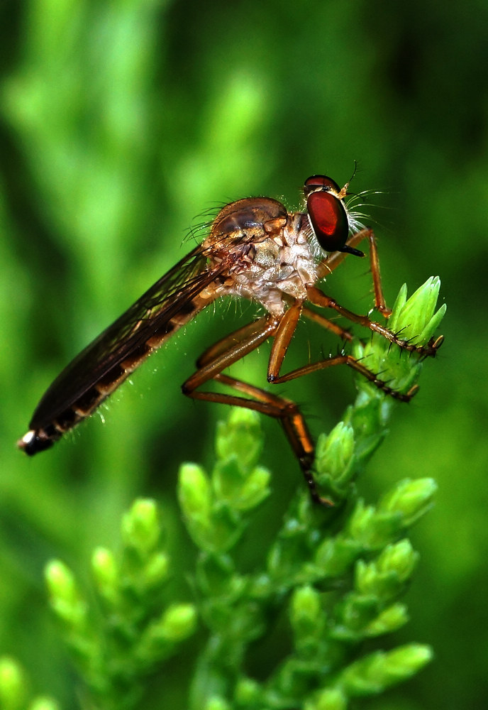 DSC09113-1 - 副本.jpg