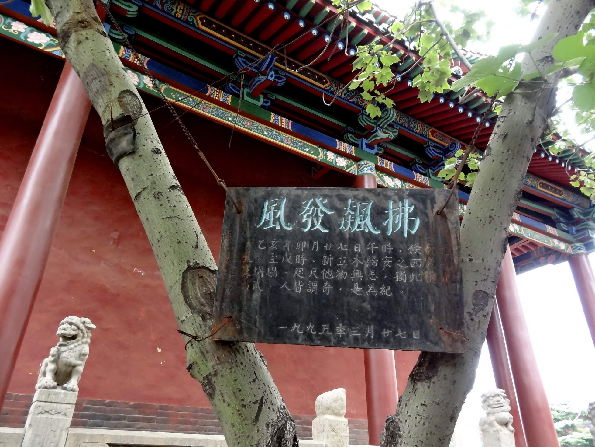 DSC02159A_调整大小.jpg
