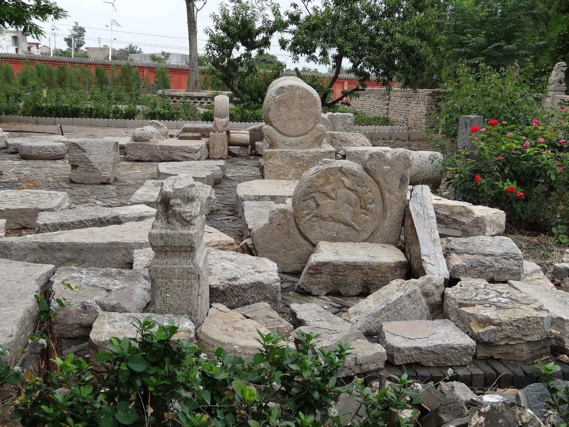 DSC02197_调整大小.jpg