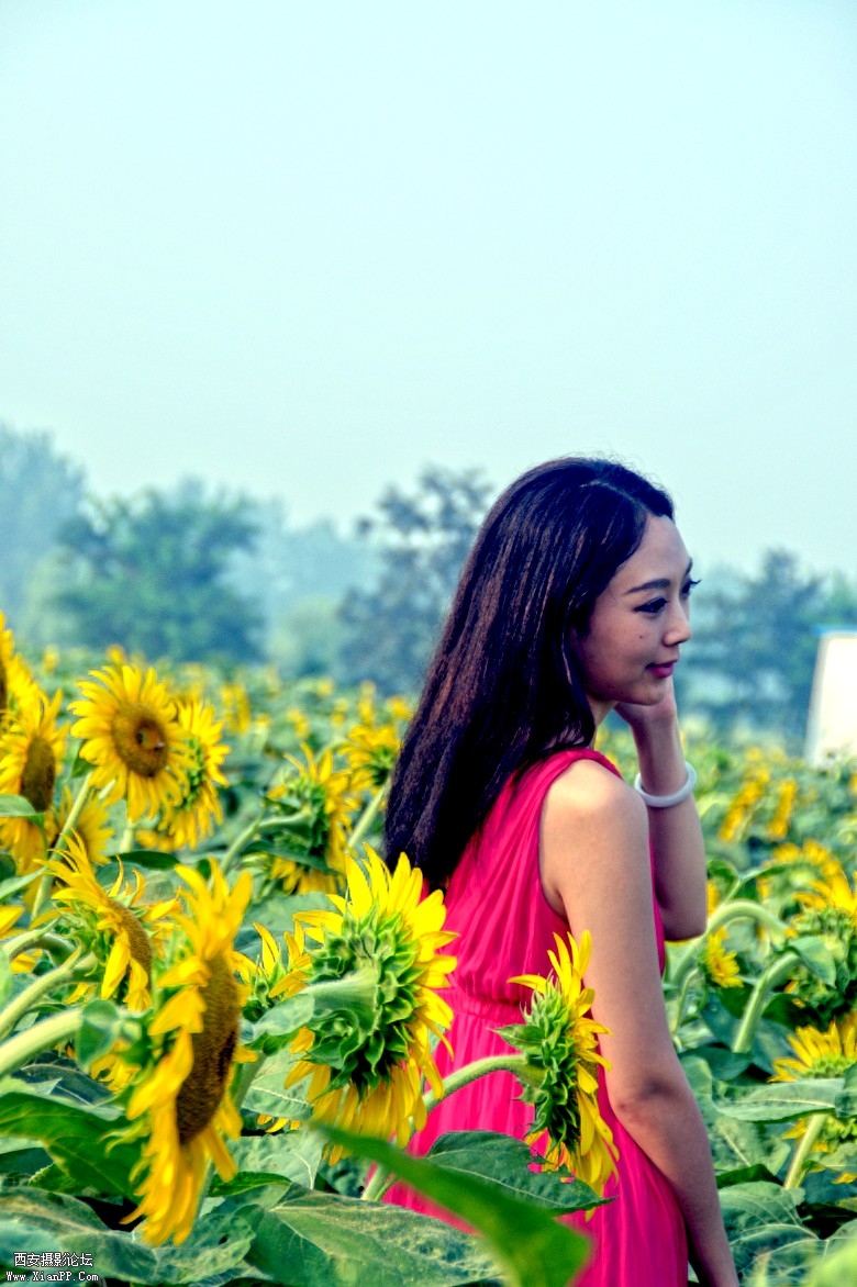 DSC_0945_conew1.jpg