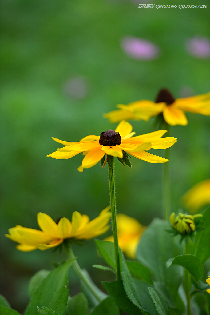 DSC_8169.jpg