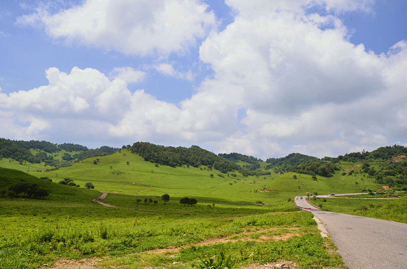 照片 038_副本.jpg