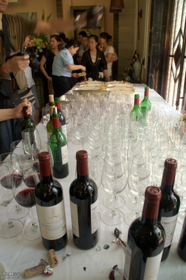 DSC_0325_conew1.jpg