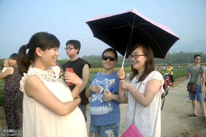 DSC_0993_conew1.jpg