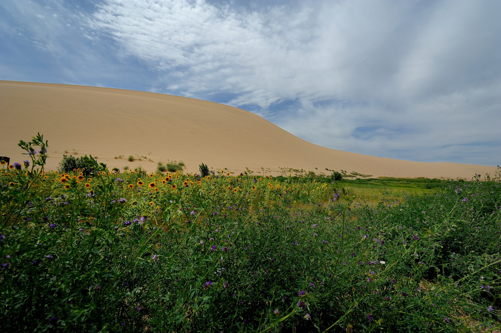 DSC_0257.jpg