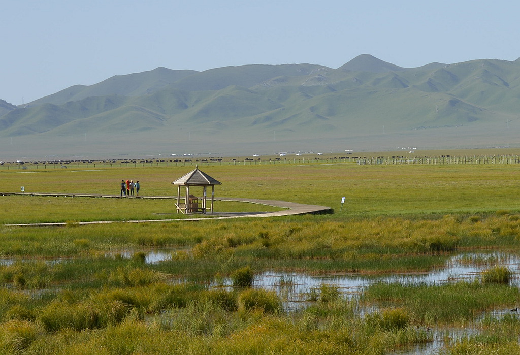 DSC_0204_副本.jpg