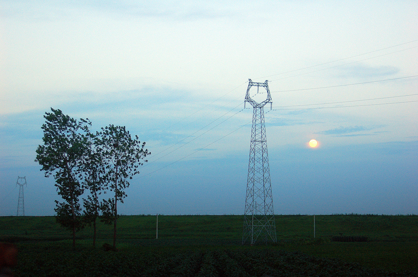 三棵树.再发 (7).jpg